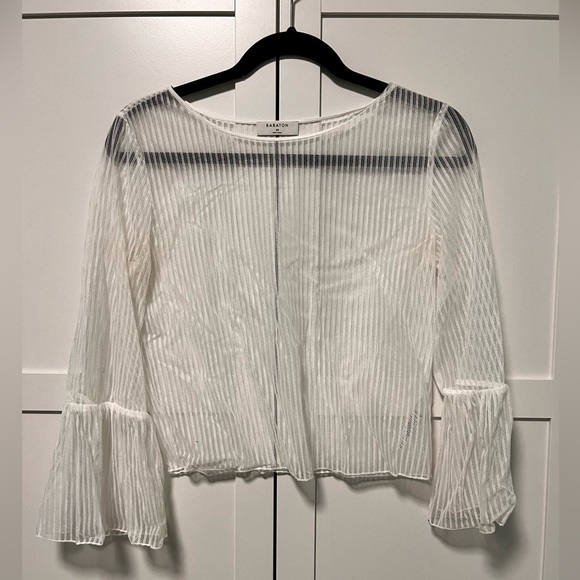 Babaton Sheer Blouse (Aritzia) - Picture 1 of 2